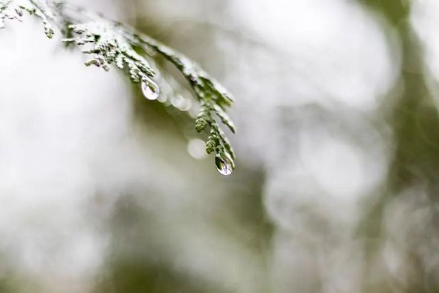 空氣濕度大帶來的危害有哪些，你知道嗎？