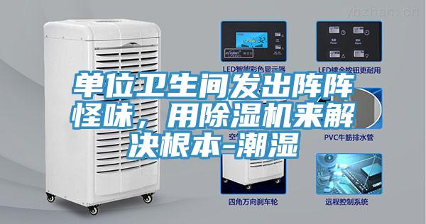 單位衛(wèi)生間發(fā)出陣陣怪味,用除濕機來解決根本-潮濕