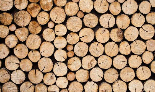 木材烘干除濕機哪個牌子好，怎么選擇