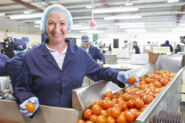 1521621360680115.jpg 食品加工.jpg