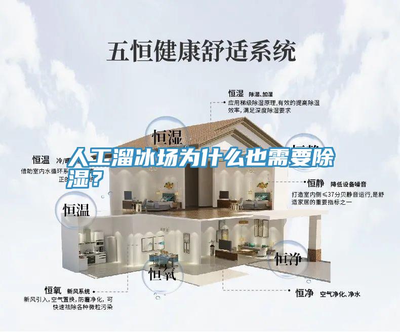 人工溜冰場為什么也需要除濕？
