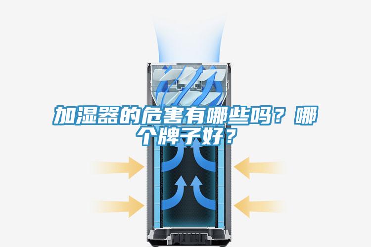 加濕器的危害有哪些嗎？哪個牌子好？