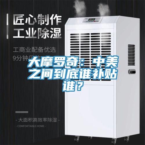 大摩羅奇：中美之間到底誰補貼誰？