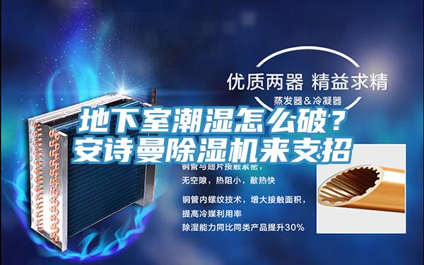 地下室潮濕怎么破？安詩曼除濕機來支招