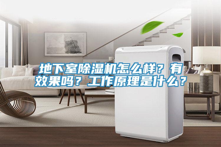 地下室除濕機怎么樣？有效果嗎？工作原理是什么？