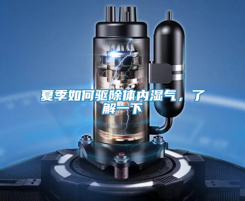 夏季如何驅(qū)除體內(nèi)濕氣,了解一下