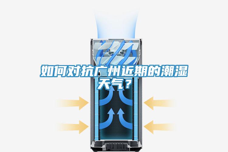 如何對抗廣州近期的潮濕天氣?