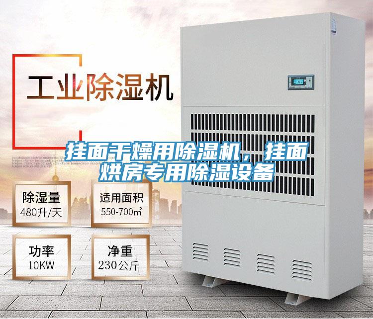 掛面干燥用除濕機，掛面烘房專用除濕設備
