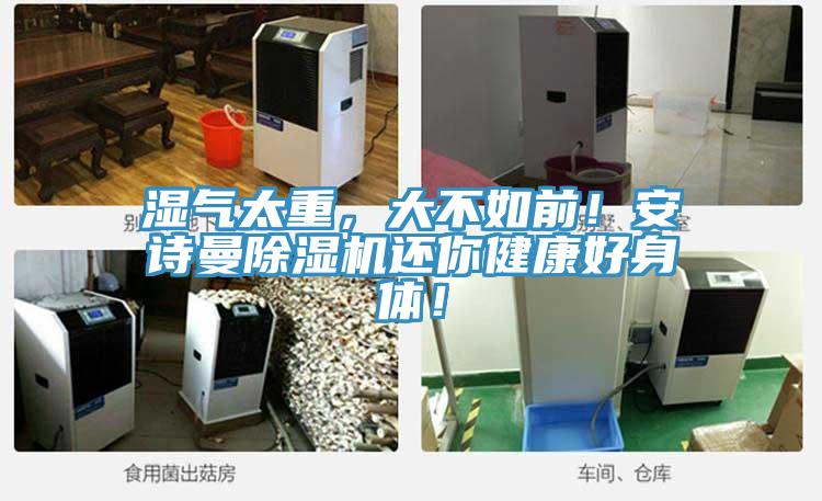 濕氣太重，大不如前！安詩曼除濕機還你健康好身體！