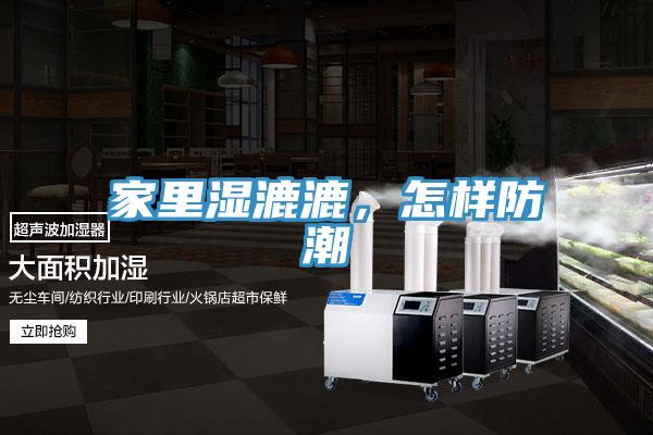 家里濕漉漉，怎樣防潮