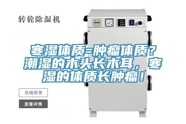 寒濕體質=腫瘤體質?潮濕的木頭長木耳,寒濕的體質長腫瘤!