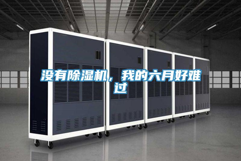 沒有除濕機,我的六月好難過