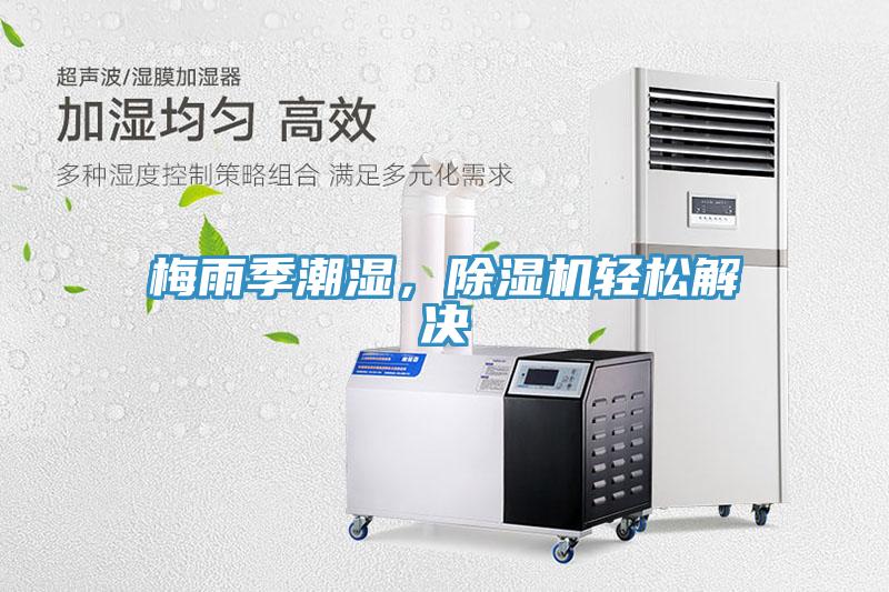 梅雨季潮濕，除濕機輕松解決