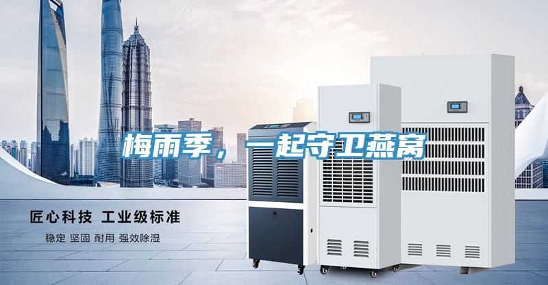 梅雨季，一起守衛燕窩