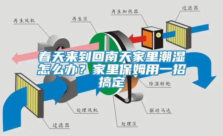 春天來到回南天家里潮濕怎么辦?家里保姆用一招搞定