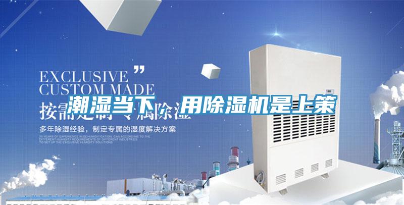 潮濕當下,用除濕機是上策