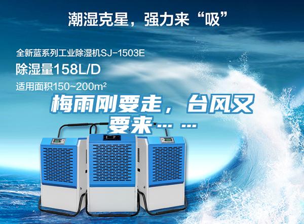 梅雨剛要走,臺風(fēng)又要來……