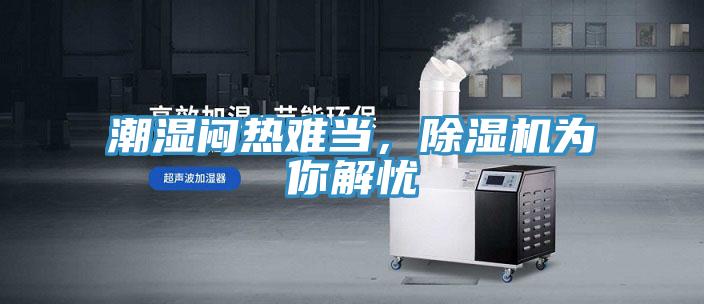 潮濕悶熱難當(dāng),除濕機(jī)為你解憂