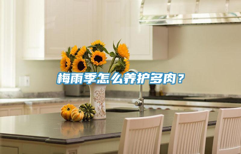 梅雨季怎么養護多肉?