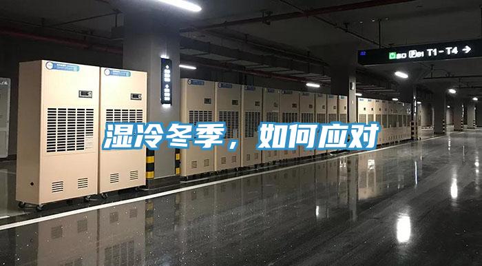 濕冷冬季,如何應對