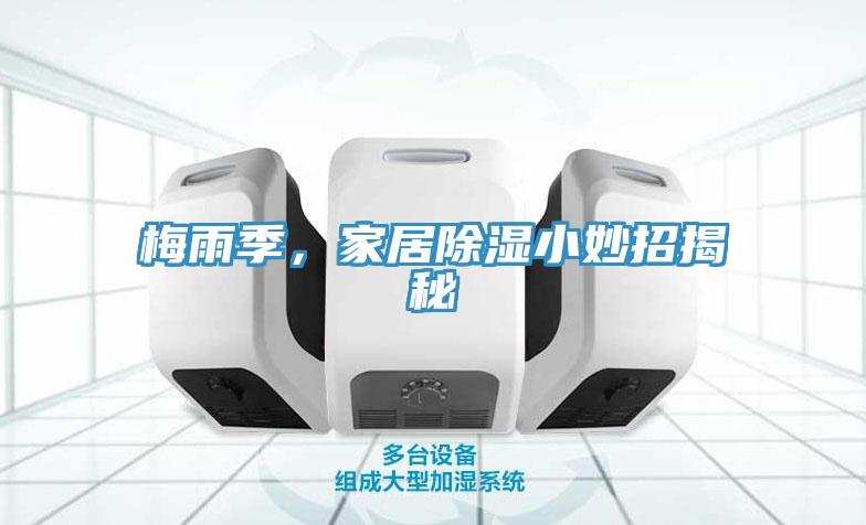 梅雨季，家居除濕小妙招揭秘