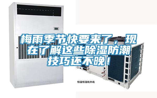 梅雨季節(jié)快要來了,現(xiàn)在了解這些除濕防潮技巧還不晚!