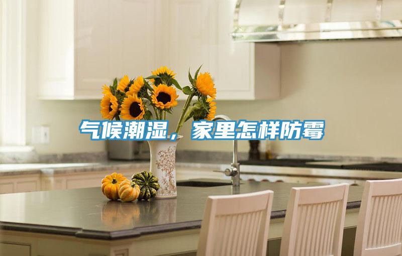 氣候潮濕，家里怎樣防霉