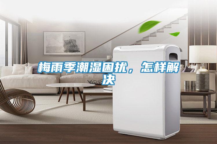 梅雨季潮濕困擾,怎樣解決