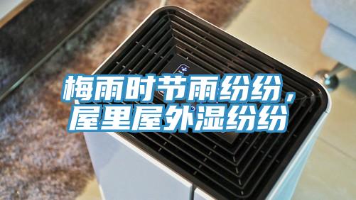 梅雨時節雨紛紛，屋里屋外濕紛紛