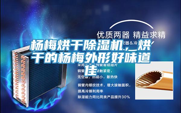 楊梅烘干除濕機，烘干的楊梅外形好味道佳