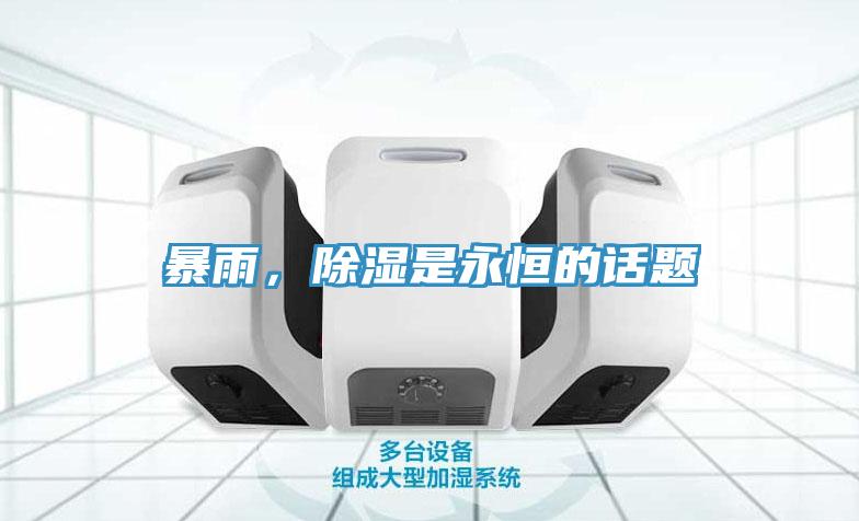 暴雨,除濕是永恒的話題
