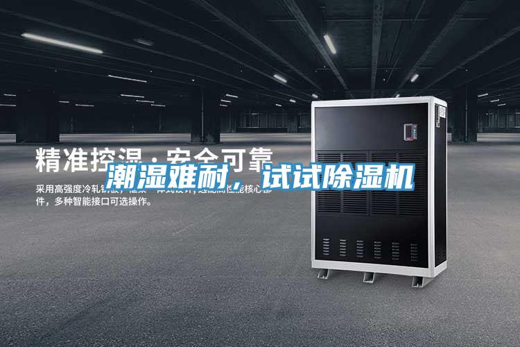 潮濕難耐，試試除濕機