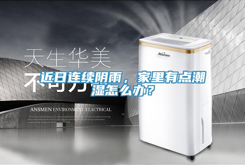 近日連續(xù)陰雨，家里有點(diǎn)潮濕怎么辦？