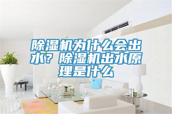 除濕機為什么會出水？除濕機出水原理是什么