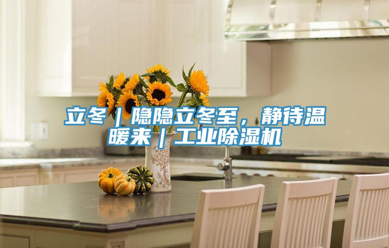 立冬|隱隱立冬至,靜待溫暖來(lái)|工業(yè)除濕機(jī)