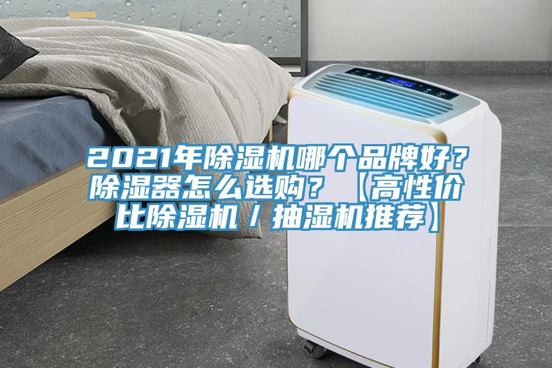 2021年除濕機(jī)哪個品牌好？除濕器怎么選購？【高性價比除濕機(jī)／抽濕機(jī)推薦】