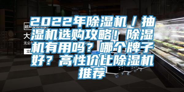 2022年除濕機(jī)／抽濕機(jī)選購(gòu)攻略！除濕機(jī)有用嗎？哪個(gè)牌子好？高性價(jià)比除濕機(jī)推薦