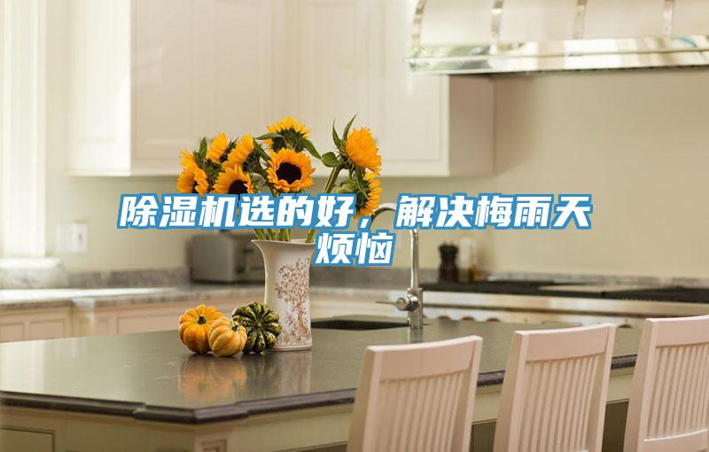 除濕機選的好，解決梅雨天煩惱