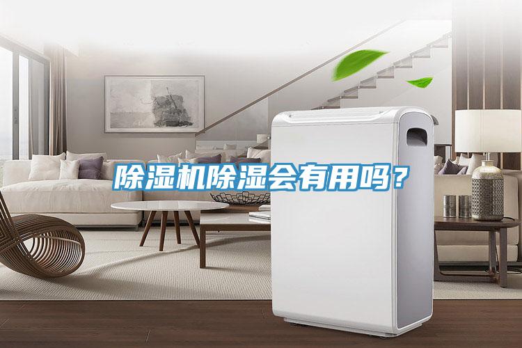 除濕機除濕會有用嗎？