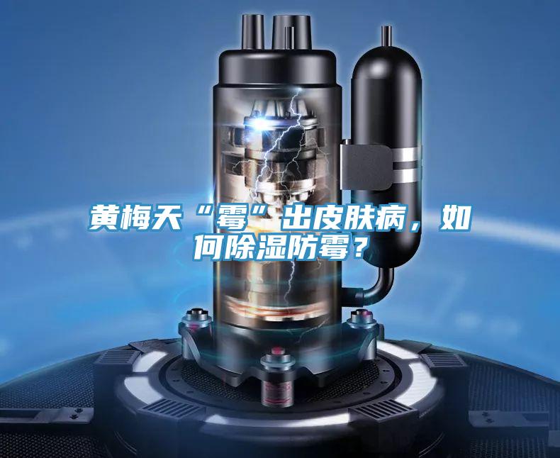 黃梅天“霉”出皮膚病，如何除濕防霉？