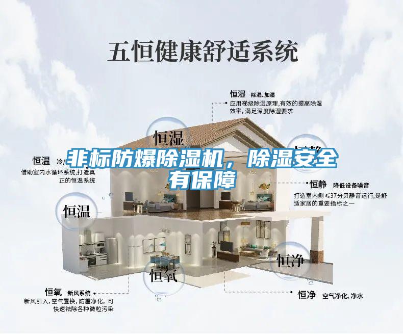 非標防爆除濕機，除濕安全有保障