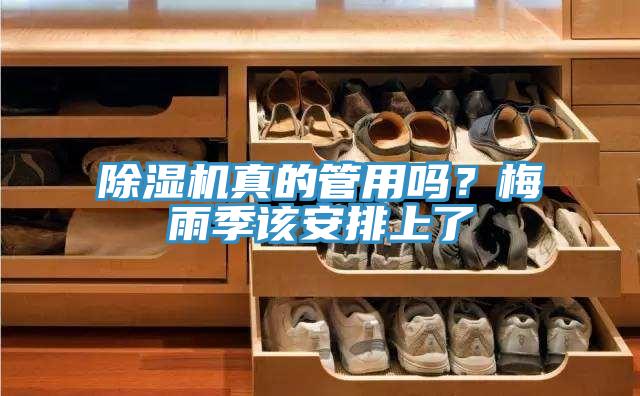 除濕機真的管用嗎？梅雨季該安排上了