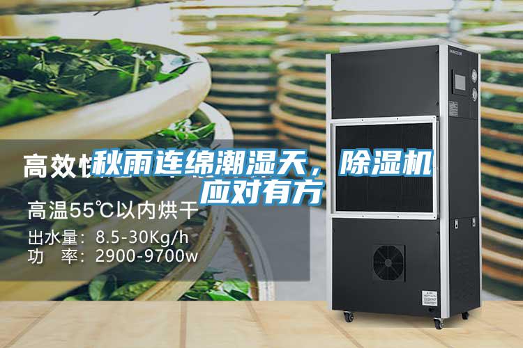 秋雨連綿潮濕天，除濕機應對有方