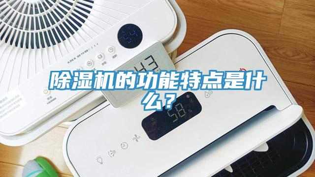 除濕機(jī)的功能特點(diǎn)是什么？