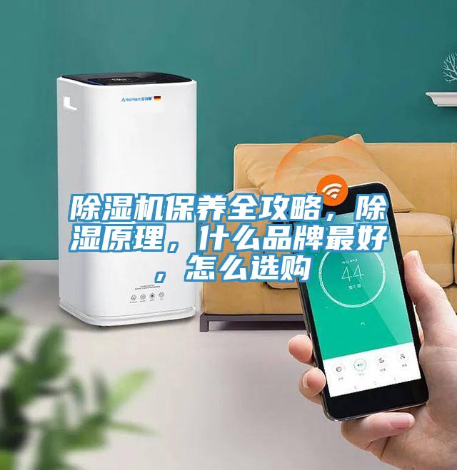 除濕機保養(yǎng)全攻略，除濕原理，什么品牌最好，怎么選購