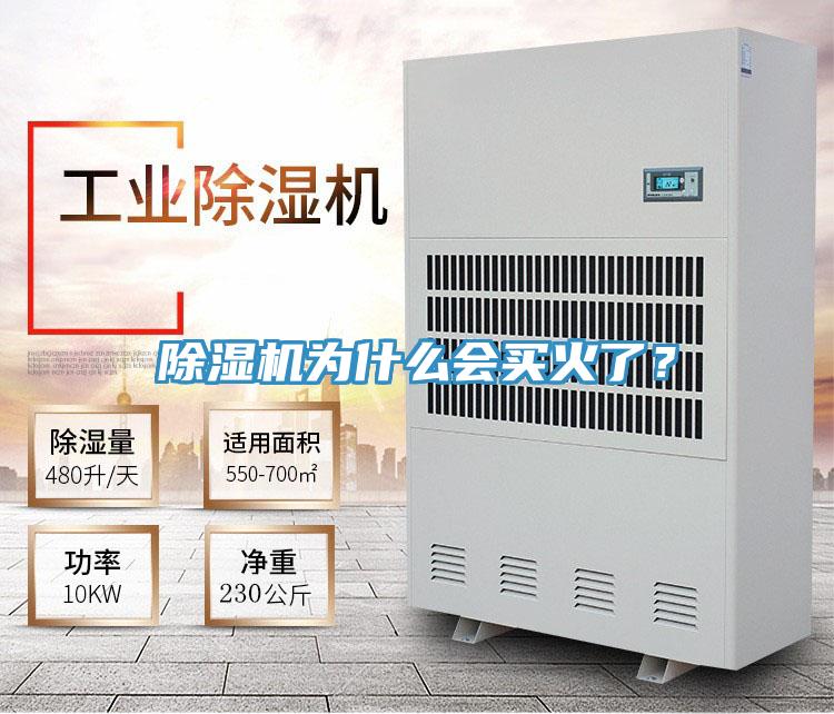 除濕機為什么會買火了？