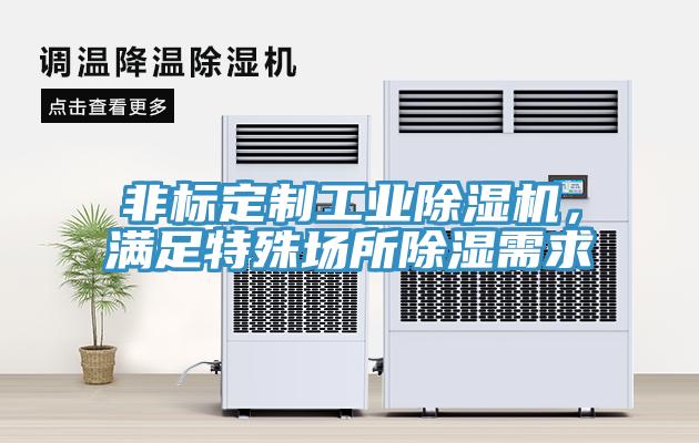 非標定制工業除濕機，滿足特殊場所除濕需求