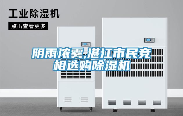 陰雨濃霧,湛江市民競(jìng)相選購(gòu)除濕機(jī)