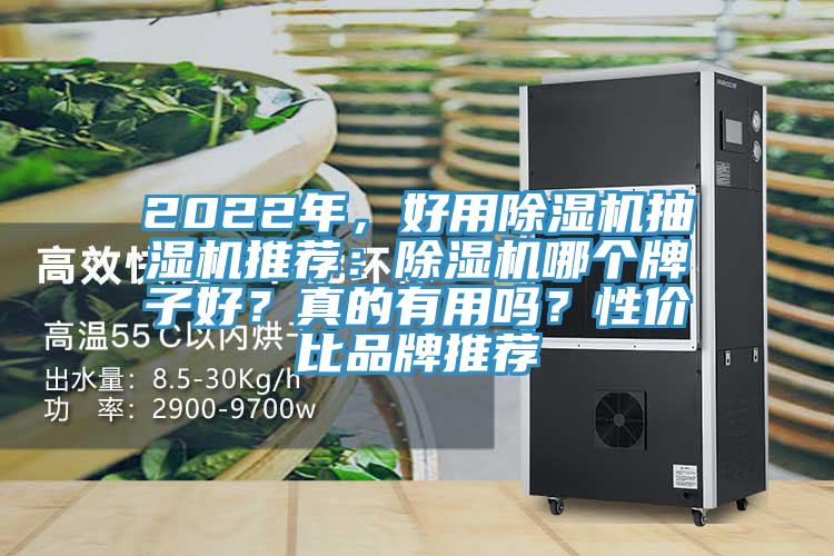 2022年，好用除濕機(jī)抽濕機(jī)推薦：除濕機(jī)哪個(gè)牌子好？真的有用嗎？性價(jià)比品牌推薦