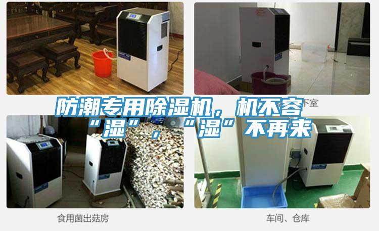 防潮專用除濕機，機不容“濕”，“濕”不再來